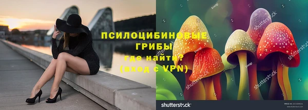 герыч Алзамай
