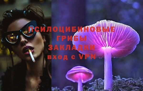 СК Каменск-Шахтинский