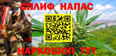 шишки Апшеронск