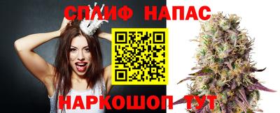 шишки Апшеронск