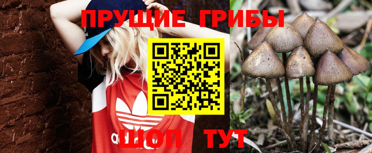 Псилоцибиновые грибы прущие грибы Выкса