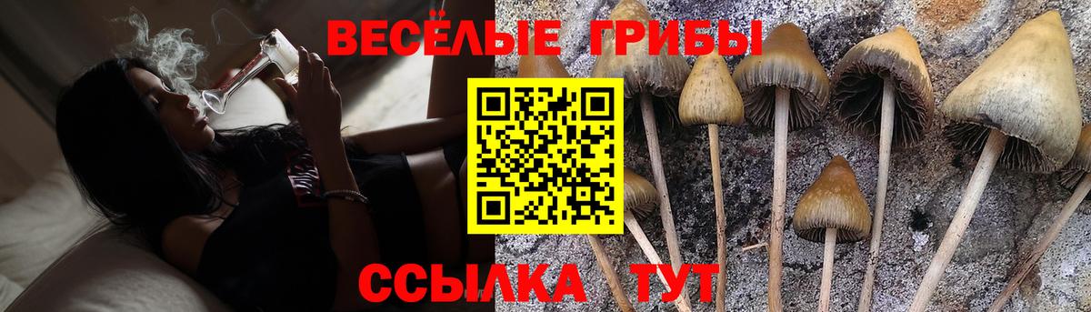 Выкса  Псилоцибиновые грибы ЛСД  Вход с VPN 