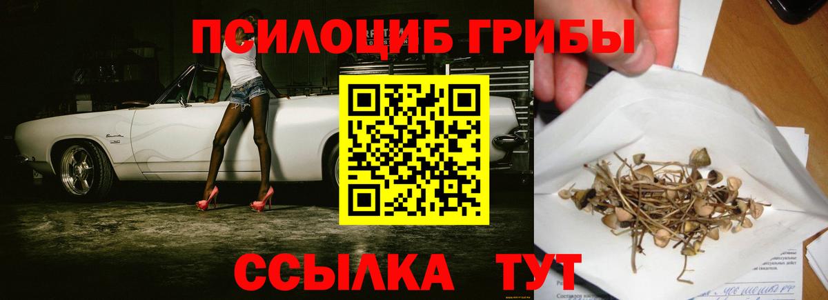 Галлюциногенные грибы GOLDEN TEACHER Выкса